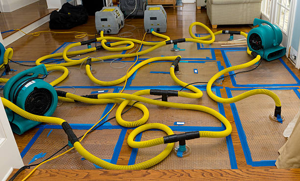 Professional Water Damage Repair technician working in Laurier, WA